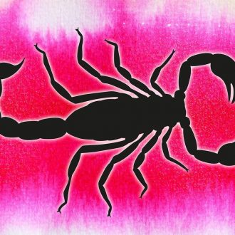 Каких женщин любят мужчины-Скорпионы